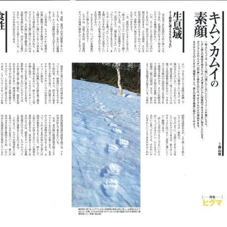 faura（ファウラ）創刊号【2003.9･18発行】