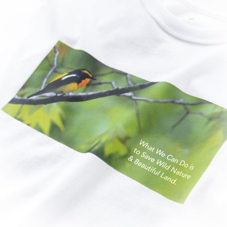 Tシャツ【キビタキ】Narcissus Flycatcher SNOW WHITE