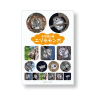 オリジナル写真シール【エゾモモンガ】