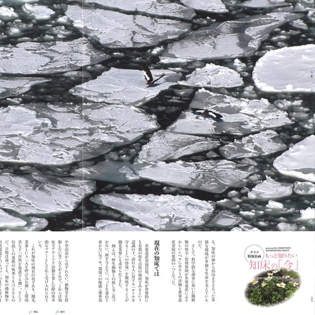 faura （ファウラ）59号【2018.3.15発行】