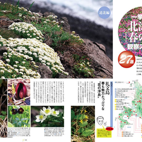 faura（ファウラ）31号【2011.3.15発行】