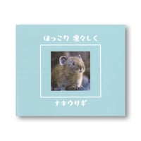 ほっこり　凛々しく　ナキウサギ　【写真集】