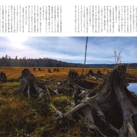faura（ファウラ）61号【2019.4.25発行】