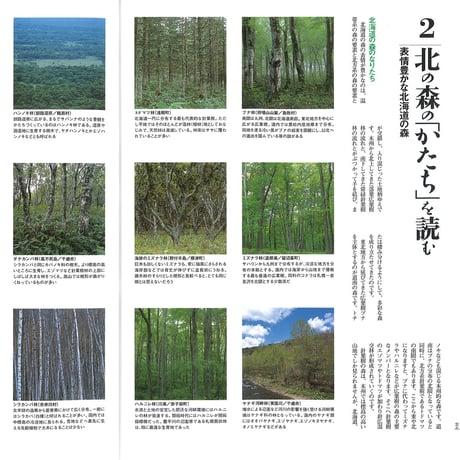 faura（ファウラ）3号【2004.3.15発行】