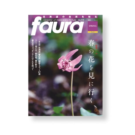 faura（ファウラ）31号【2011.3.15発行】