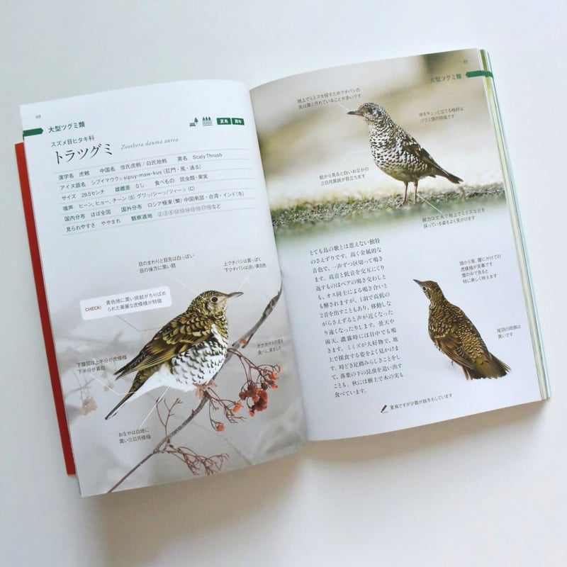 改訂版】さっぽろ野鳥観察手帖 SAPPORO BIRD GUIDE | faura store