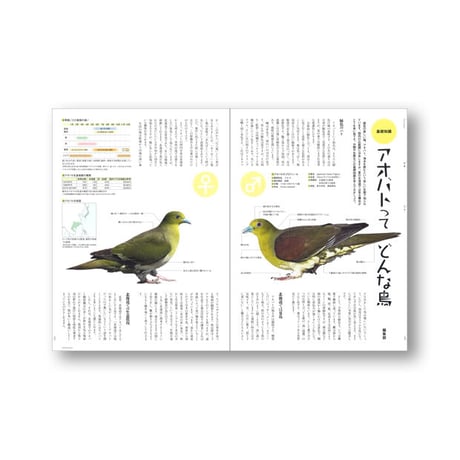faura（ファウラ）65号【2023・4・25発行】