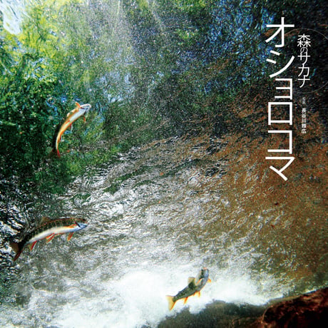 faura（ファウラ）41号【2013.9.15発行】
