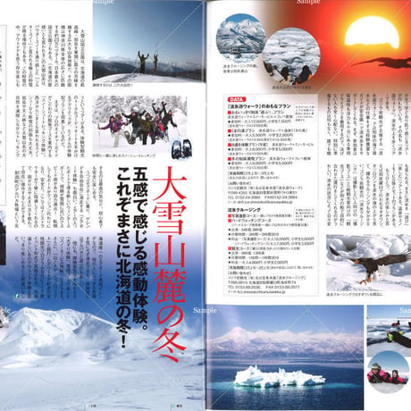 faura（ファウラ）38号【2012.12.15発行】
