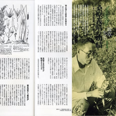 faura（ファウラ）22号【2008.12.15発行】