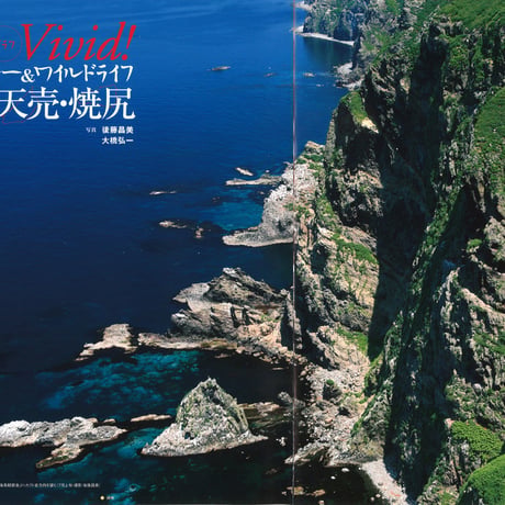 faura（ファウラ）40号【2013.6.15発行】