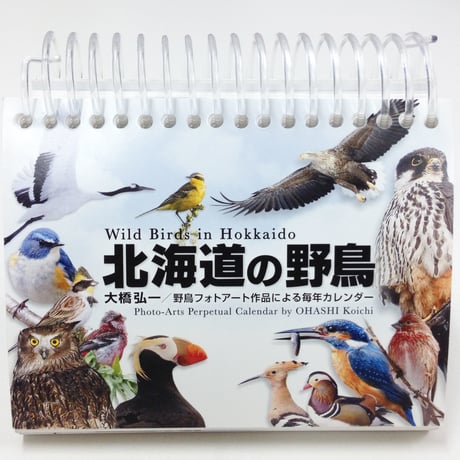 野鳥フォトアートカレンダー　　「北海道の野鳥」 改訂版