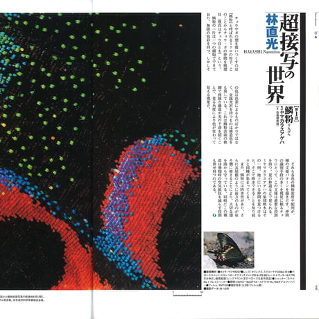 faura（ファウラ）4号【2003.6.15発行】
