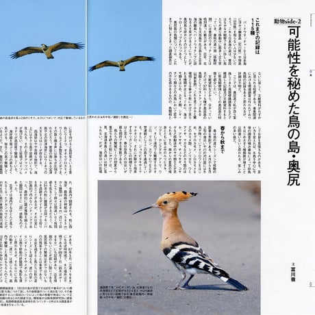 faura（ファウラ）28号【2010.6.15発行】