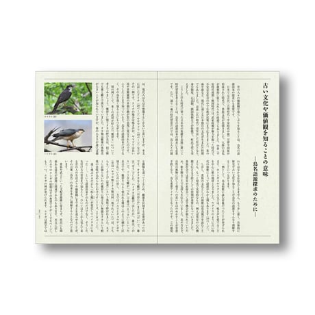 鳥たちの素敵な名前の物語