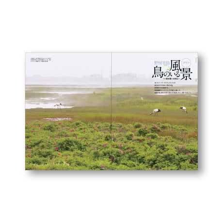 faura（ファウラ）66号【2024．4．25発行】