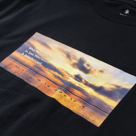 Tシャツ【オオハクチョウ】Whooper Swan NIGHT BLACK