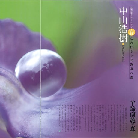 faura(ファウラ）55号【2017.3.15発行】