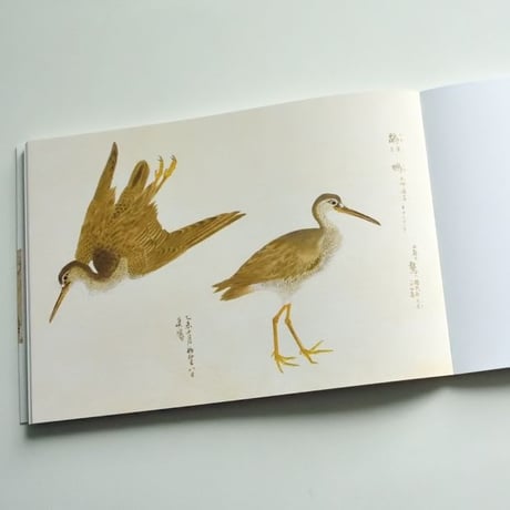 美し、をかし、和名由来の江戸鳥図鑑