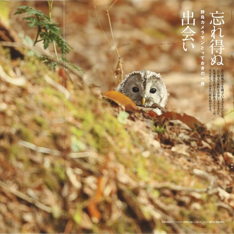 faura(ファウラ)54号【2016.12.15発行】