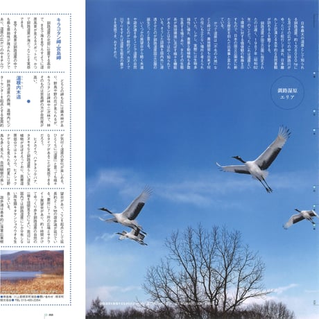 faura(ファウラ） 56号【2017.6.15発行】