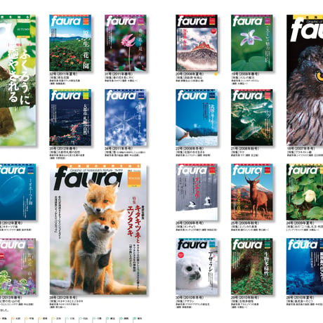 faura(ファウラ)42号【2013.12.15発行】