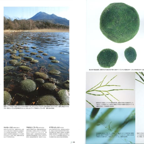 faura（ファウラ）43号【2014.3.15発行】
