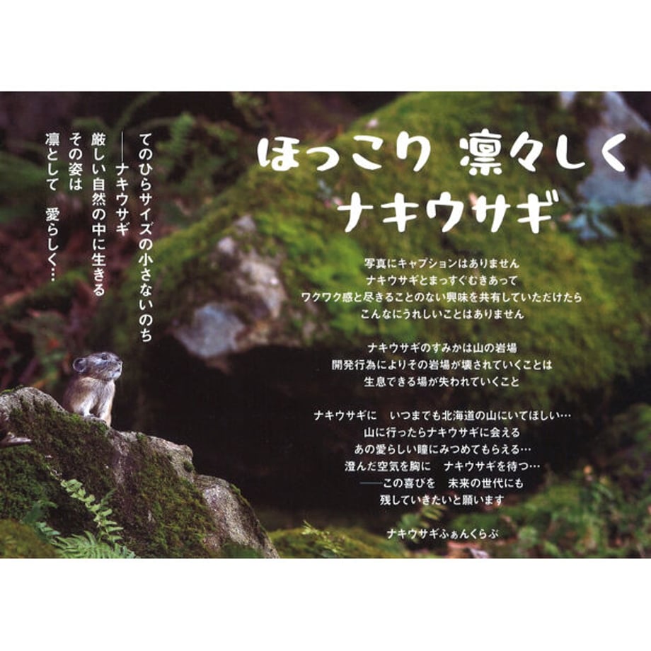 6530edf84c7baf002ed2a980