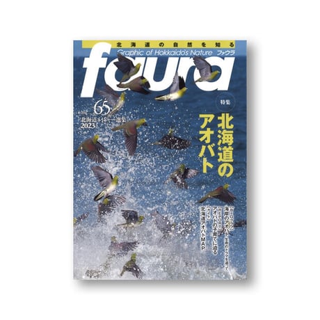 faura（ファウラ）65号【2023・4・25発行】
