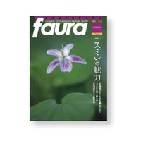 faura（ファウラ）19号【2008.3.15発行】