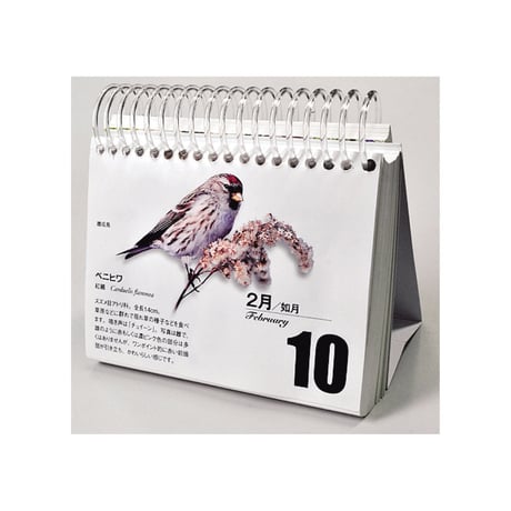 野鳥フォトアートカレンダー　　「北海道の野鳥」 改訂版