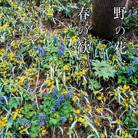 faura（ファウラ）31号【2011.3.15発行】