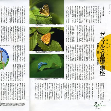 faura（ファウラ）23号【2009.3.15発行】