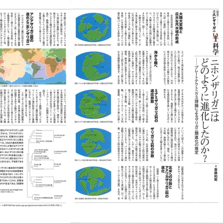 faura（ファウラ）12号【2006.6.15発行】