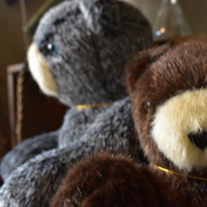 puppe くまのぬいぐるみ 大 | pivoine