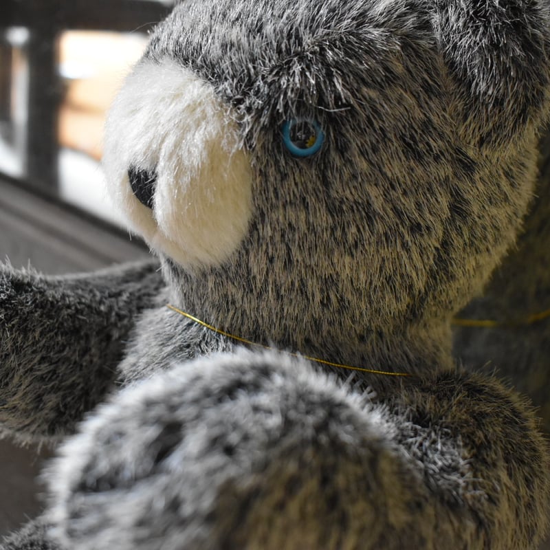 puppe くまのぬいぐるみ 大 | pivoine