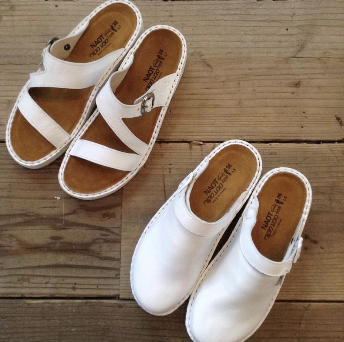 NAOT GENEVA White | pivoine