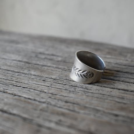 カレンシルバー  草花