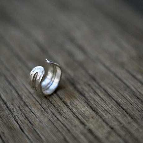 カレンシルバー  切れ込み