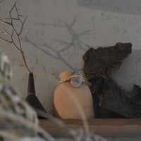 榊麻美植物研究所　花入石付き