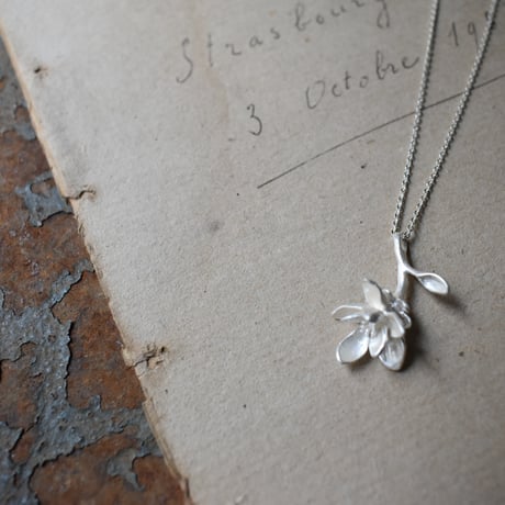 CATEGORY [fashion item] | pivoine