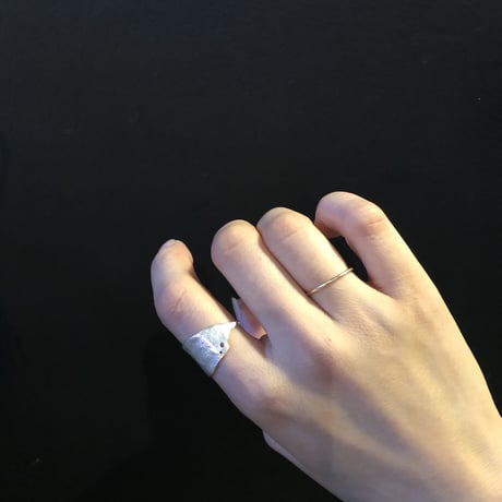 CATEGORY silver | pivoine