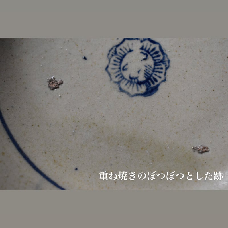 song be 鶏大深皿 | pivoine