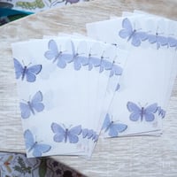 ルリシジミひとこと箋