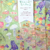 包み紙-富士山の森で見たきのこ