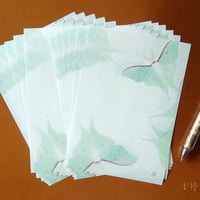 オオミズアオ便せん　12枚　※こちら便箋のみの商品です
