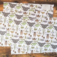 包み紙　虫夢虫柄カラー！