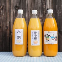 島かんきつジュース（蜜柑・八朔・伊予柑）ご贈答用３本セット