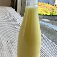 瀬戸内島れもん果汁100％ストレート300㎖瓶２本
