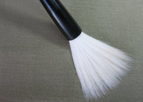 山茶花